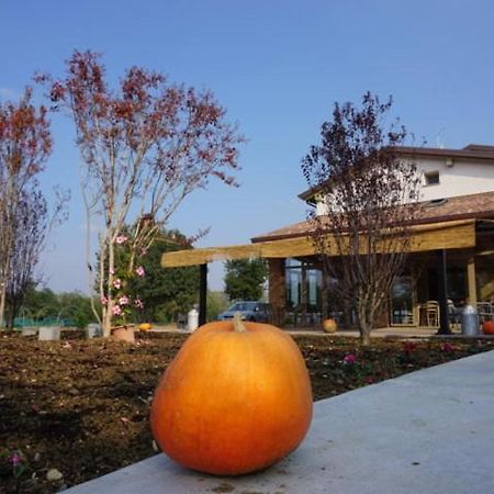 Agriturismo Campogrande Carpaneto Piacentino Екстериор снимка