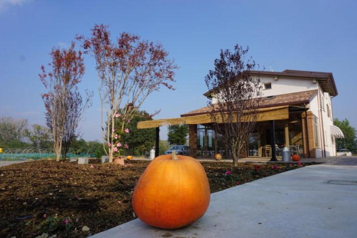 Agriturismo Campogrande Carpaneto Piacentino Екстериор снимка