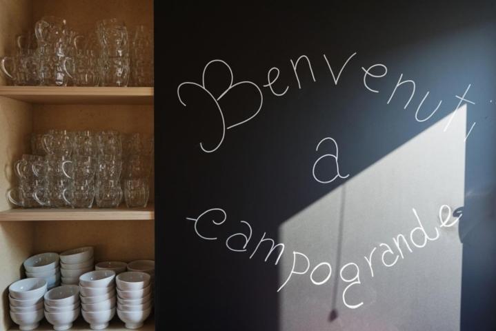 Agriturismo Campogrande Carpaneto Piacentino Екстериор снимка